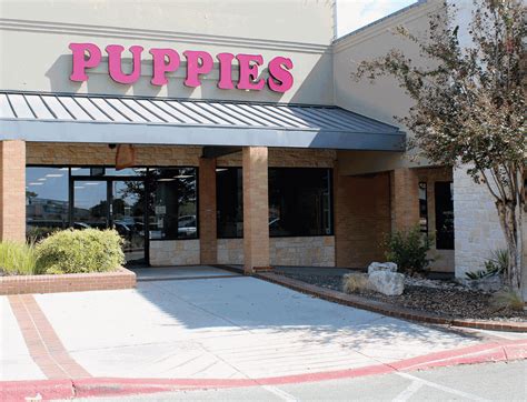 Puppyland new braunfels. Things To Know About Puppyland new braunfels. 